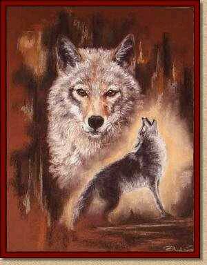 coyotegurl29's profile picture. SWF