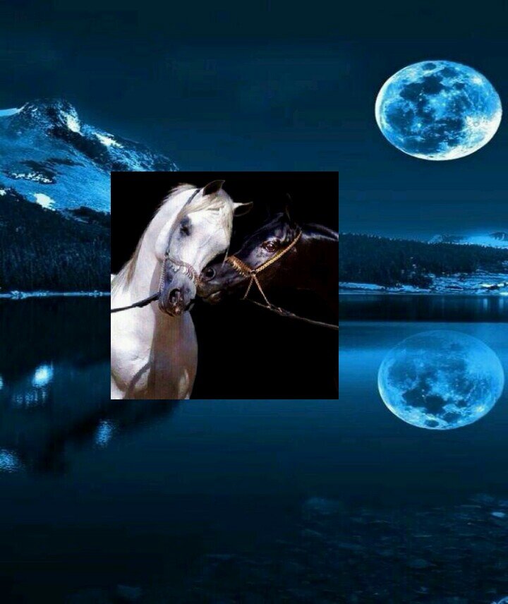 QwSarah888's profile picture. ‏ولست أرى السعادة جمع مال  ولكن التقي هو السعيد ♡