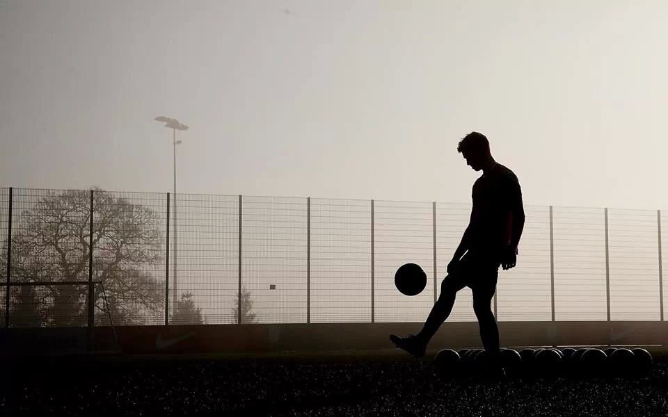 Fiurqe19's profile picture. 