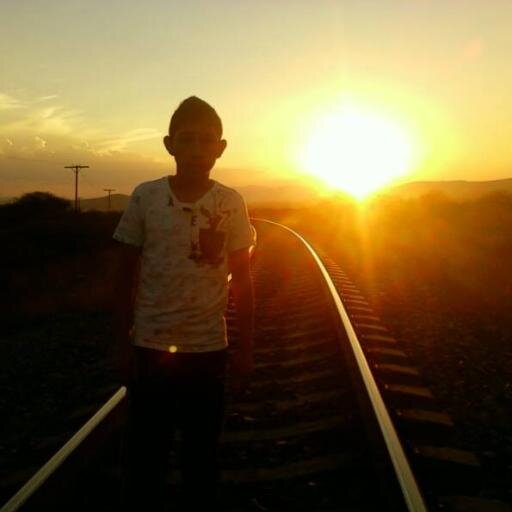 joseraul100198's profile picture. 