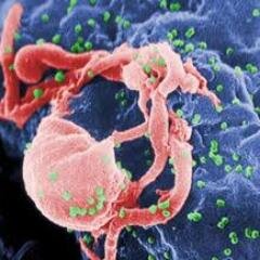 ASIGNATURA INMUNOLOGIA POSTGRADOS ADSCRITOS  FAC. MED