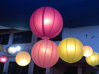 kelawarhidup's profile picture. Sarcastic. Shit