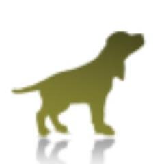 Active Scout is the leading provider of comprehensive Carrier Management & Risk Mitigation services and cloud-based software.