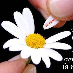 Autor de poemas de amor, de amistad, con imágenes. Sentimientos de amor hacia un ser maravilloso. Disfruta y comparte con tus amistades.