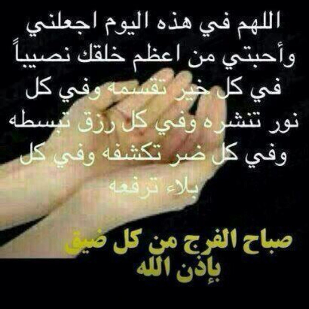 Shushu1402's profile picture. 