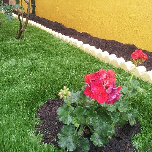DLGcespedartifi's profile picture. Instaladores de césped artificial. dilugarden@hotmail.com 647180380
