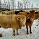 Dwight Pollock - @DwightPollock - Twitter