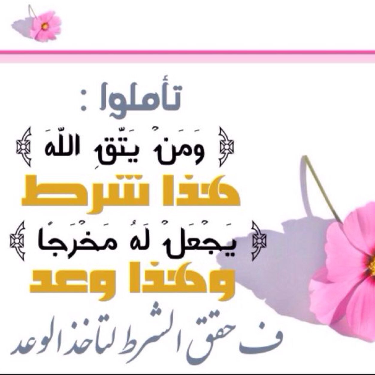 هاذا الحساب صدقة جارية للمغفور له باذن ٱلـّاـْہ مشاري والذي اتمنى مٓــنّ ٱلـّاـْہ ثم منكم المتابعة والدعم وذالك لوجه ٱلـّاـْہ تعالى يا رب هون دمعة امه ،،،