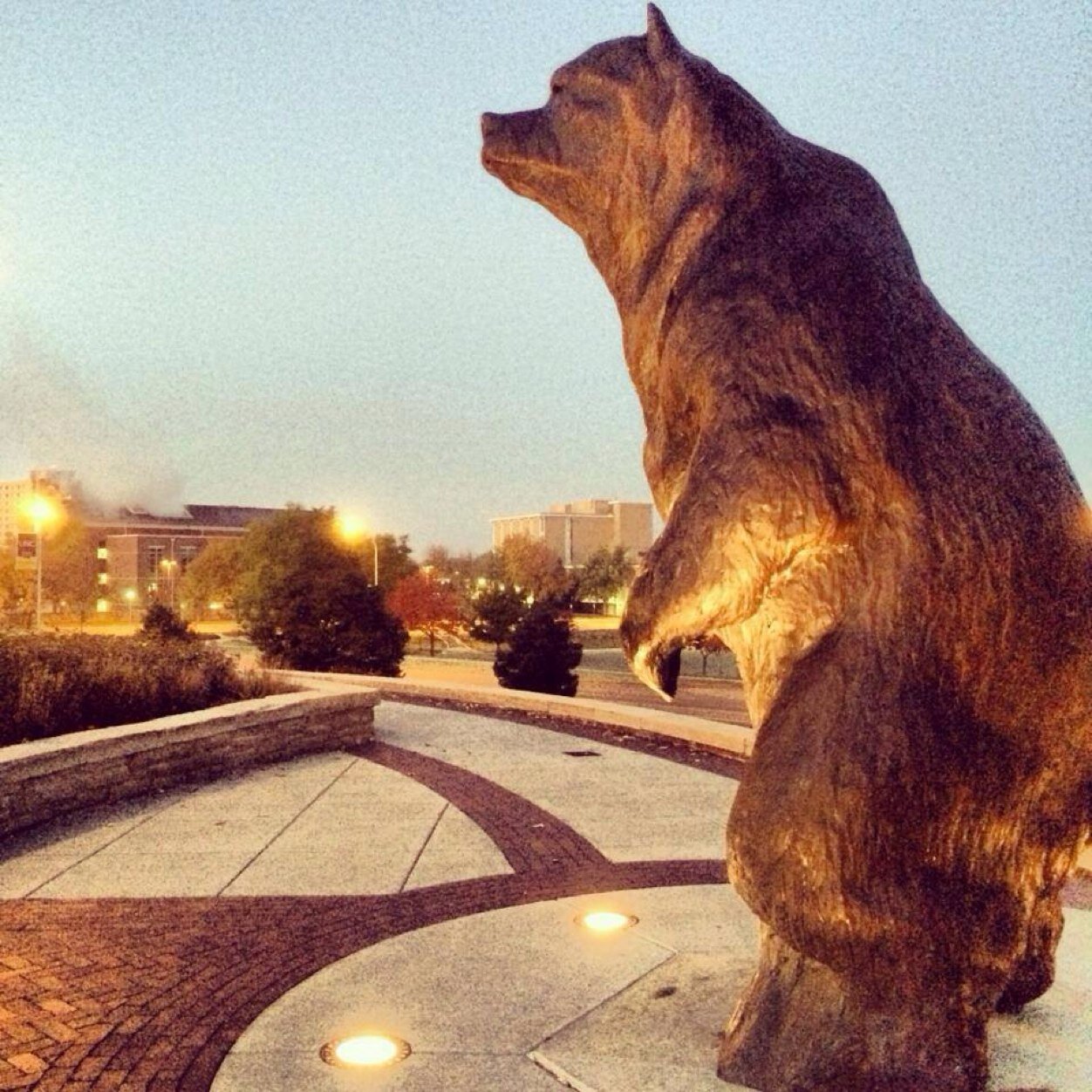 Bear_Guides's profile picture. 