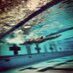 A Swimmer's Life (@swimmeroflife) Twitter profile photo