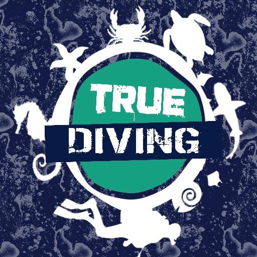 We are diving specialists. A Travel & Tour Agency which will turn your holidays around the world and let you - Explore. Discover. Experience