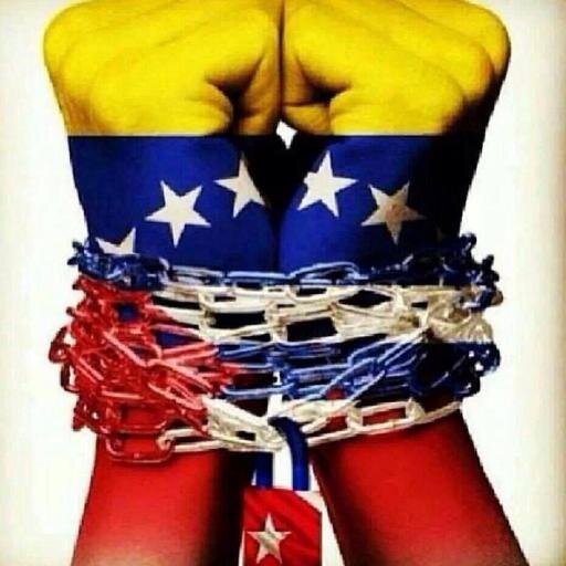 CamarinhaElena's profile picture. 