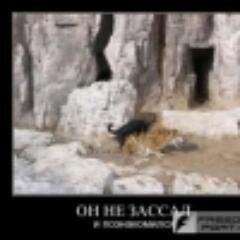 penssphygtala's profile picture. Александр Мисецкий в интернете.