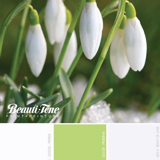 Friendly, personable, and knowledgeable sales staff;
Locally owned and operated:
Family atmosphere;
Strong community supporter and participant.