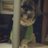 lais_rah's profile image