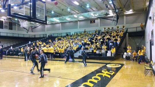 dbraschl's profile picture. 