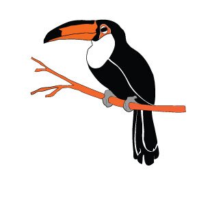 Toucan Roofing specializes in repair and replacement of storm-damaged roofs in Dallas, Fort Worth, Mansfield and the entire North Texas Region.