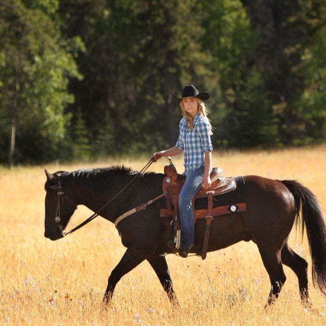 *The horse knows. He knows if you know, he also knows if you don't know.*