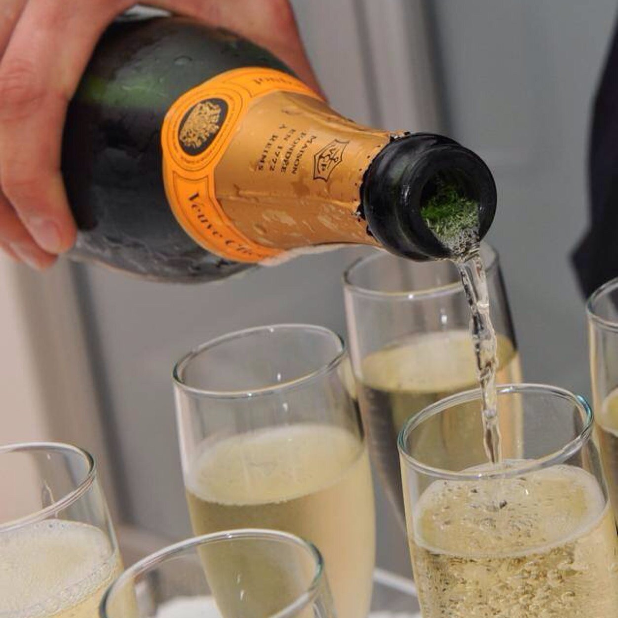 LoganJoeyjfl7's profile picture. 