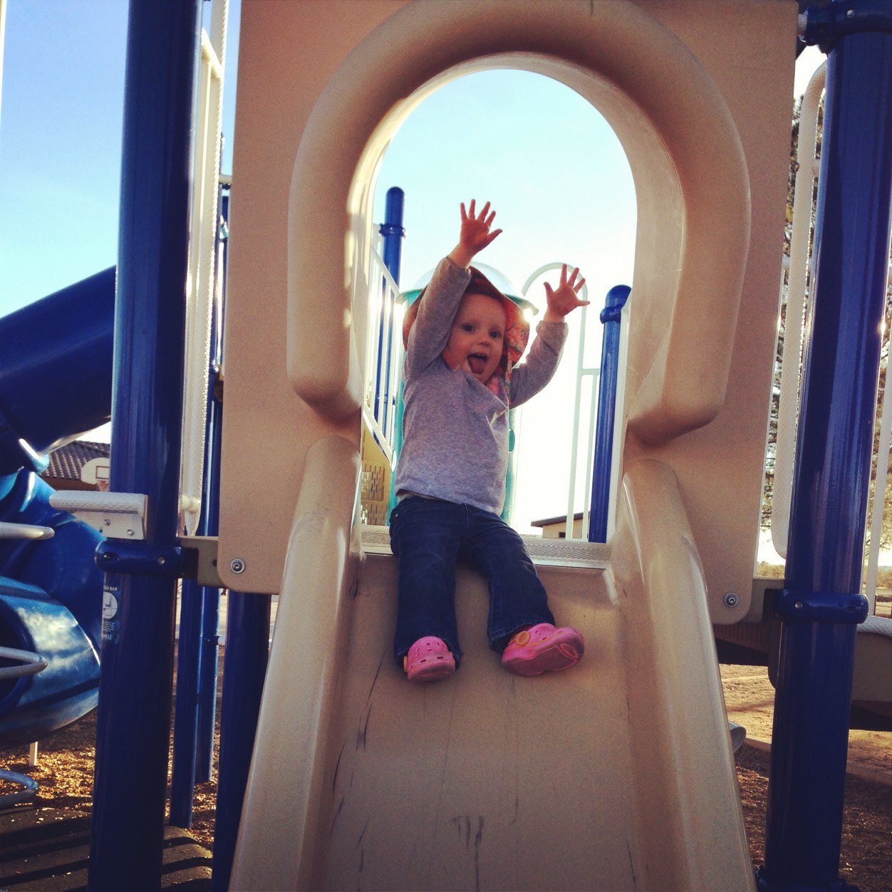 andreadaily's profile picture. 