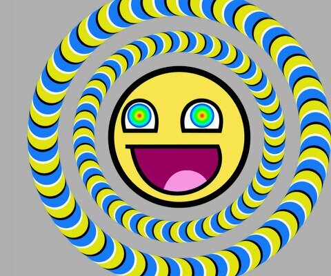 janneboyy's profile picture. 