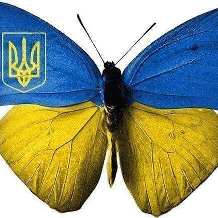 CarolynARebeyka Profile Picture
