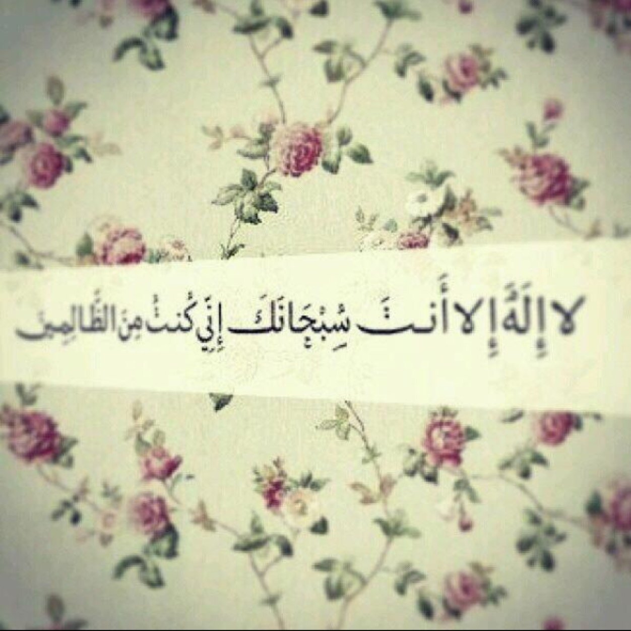 sa7ardossary's profile picture. 