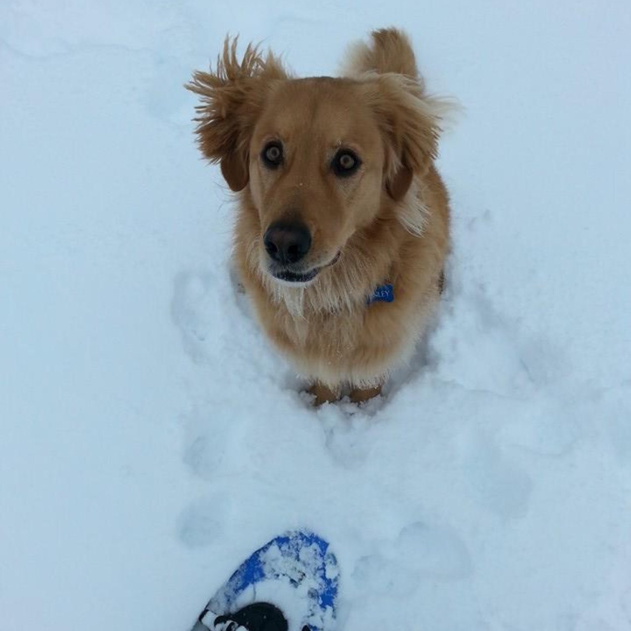 Mike23098394's profile picture. Howletts line,loves hockey,loves detroit red wings Go wings go