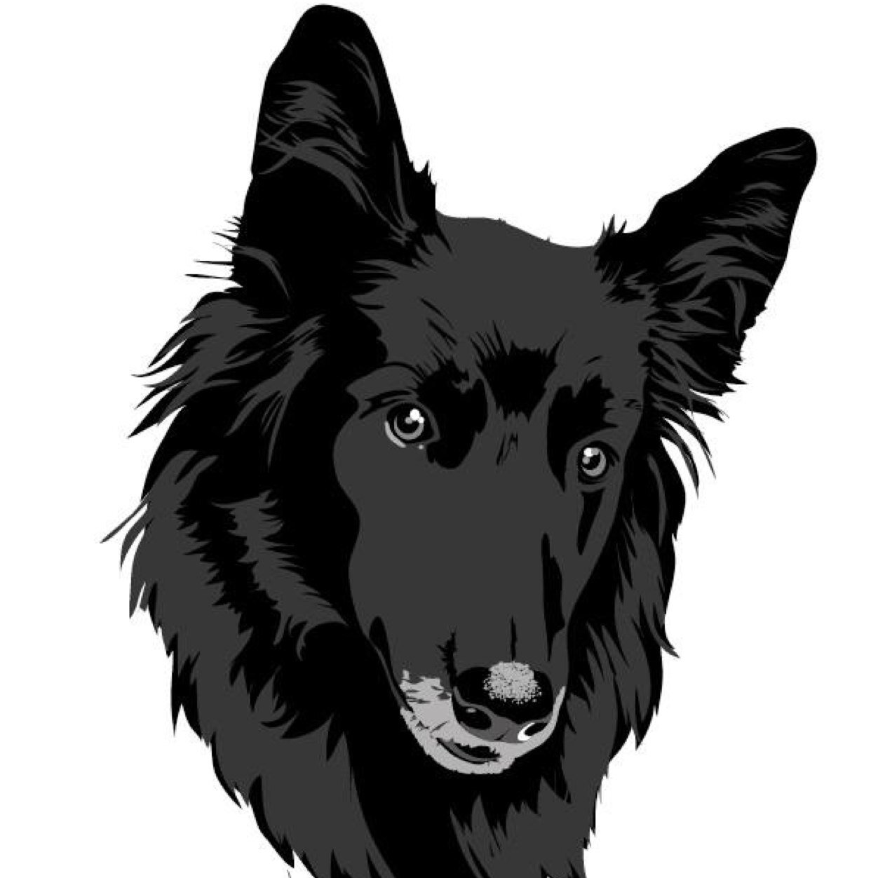 NoraAgility's profile picture. Training #Agility