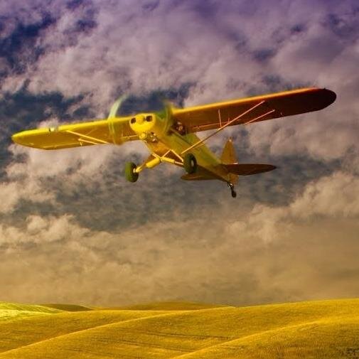 vircabsot's profile picture. 