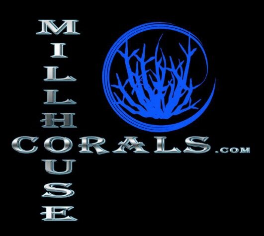 Bienvenido a la 1ª tienda online en España de venta de Corales