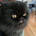 Tanner Phillips - @TannerjPhillips - Twitter