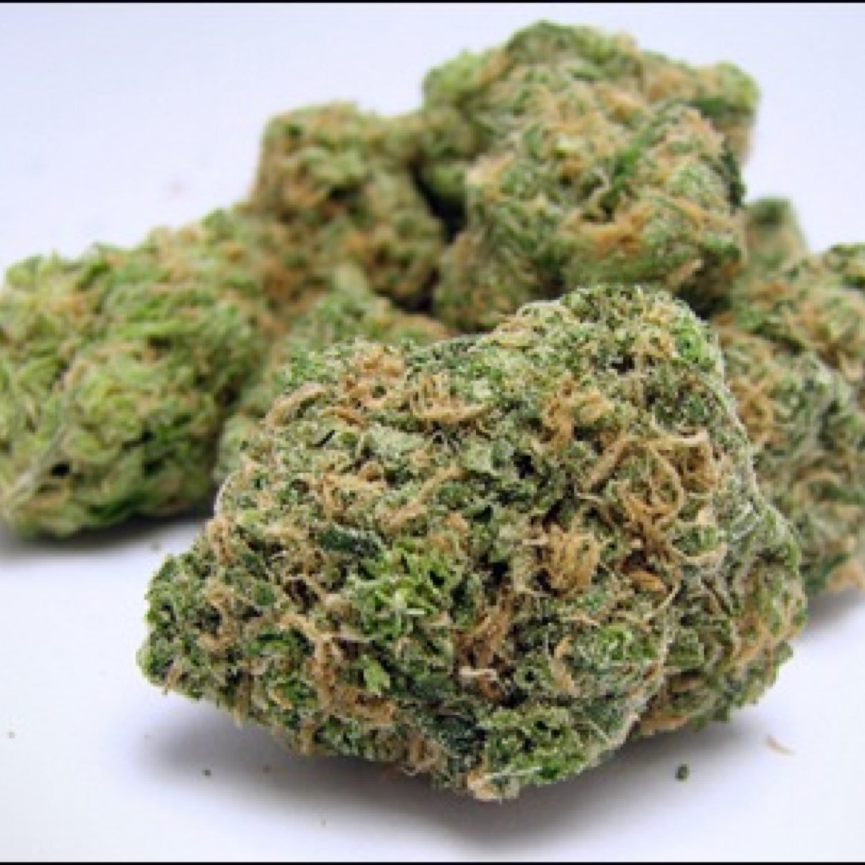 Posting pictures of that dank sticky green
