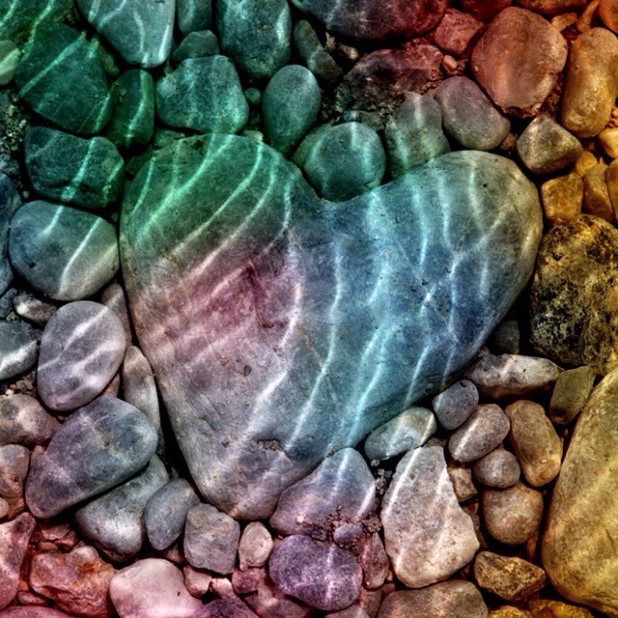 LetsBeALady's profile picture. 