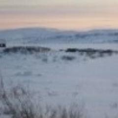 иван прутункевич в интернете.