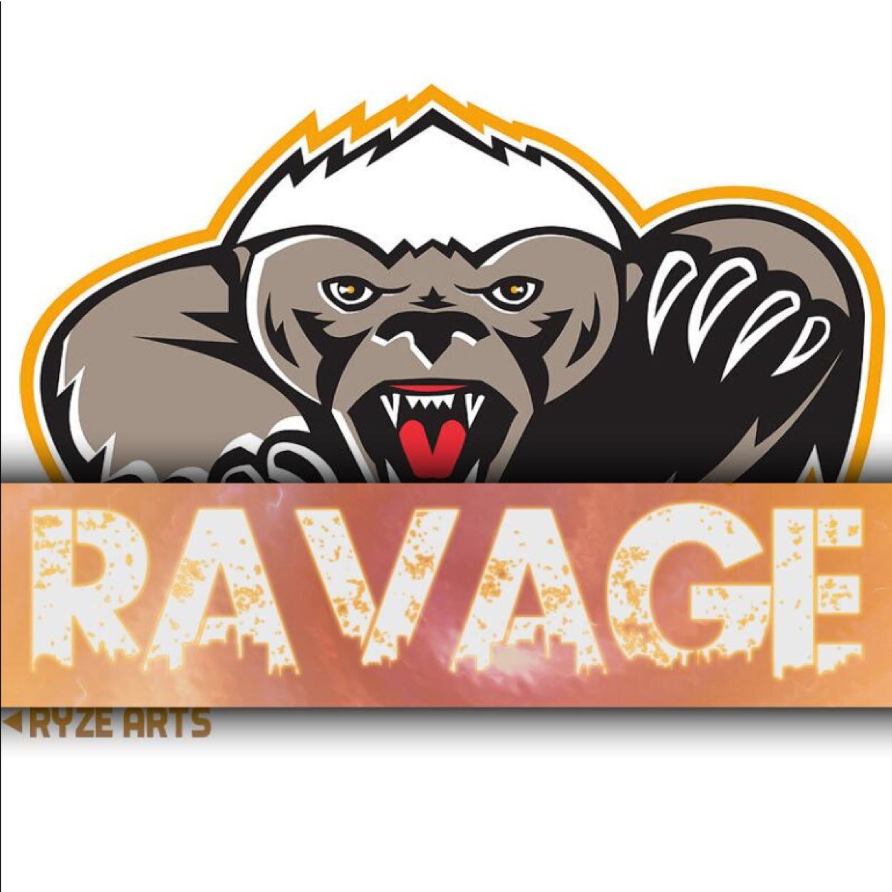 Official twitter of eSports organization Team RavaGe | We refuse to lose | Sponsors: @Frag_excel @EnvireGNetwork @CinchGaming Code TeamRavaGe 5% off #RavaGeFAM