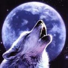 LoboEsteparioVZ's profile picture. 