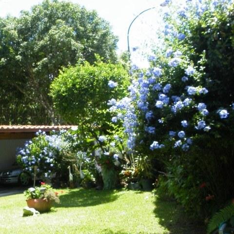 bergantinera1's profile picture. 