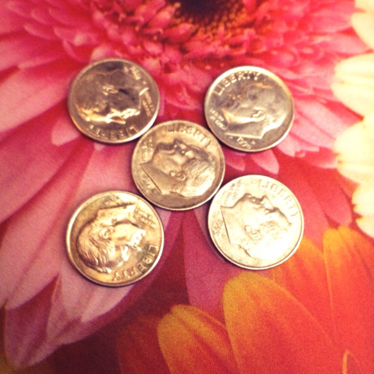 fallonbryce's profile picture. I heart cats, contests, comedy, cameras, computers & cooking!! I tweet a lot, so have fun & be warned :)