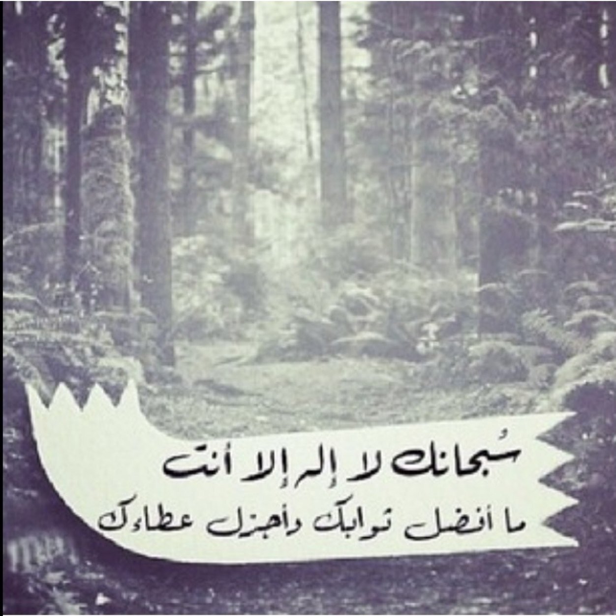 لٱ يُغير حَيٱتُنٱ سِوى قدر يُسٱق إليِنٱ ! '♡ يااااارب لك الحمد !'♡ الماضي يعتبر درس وليس خيبه تقف عليها حياتنا