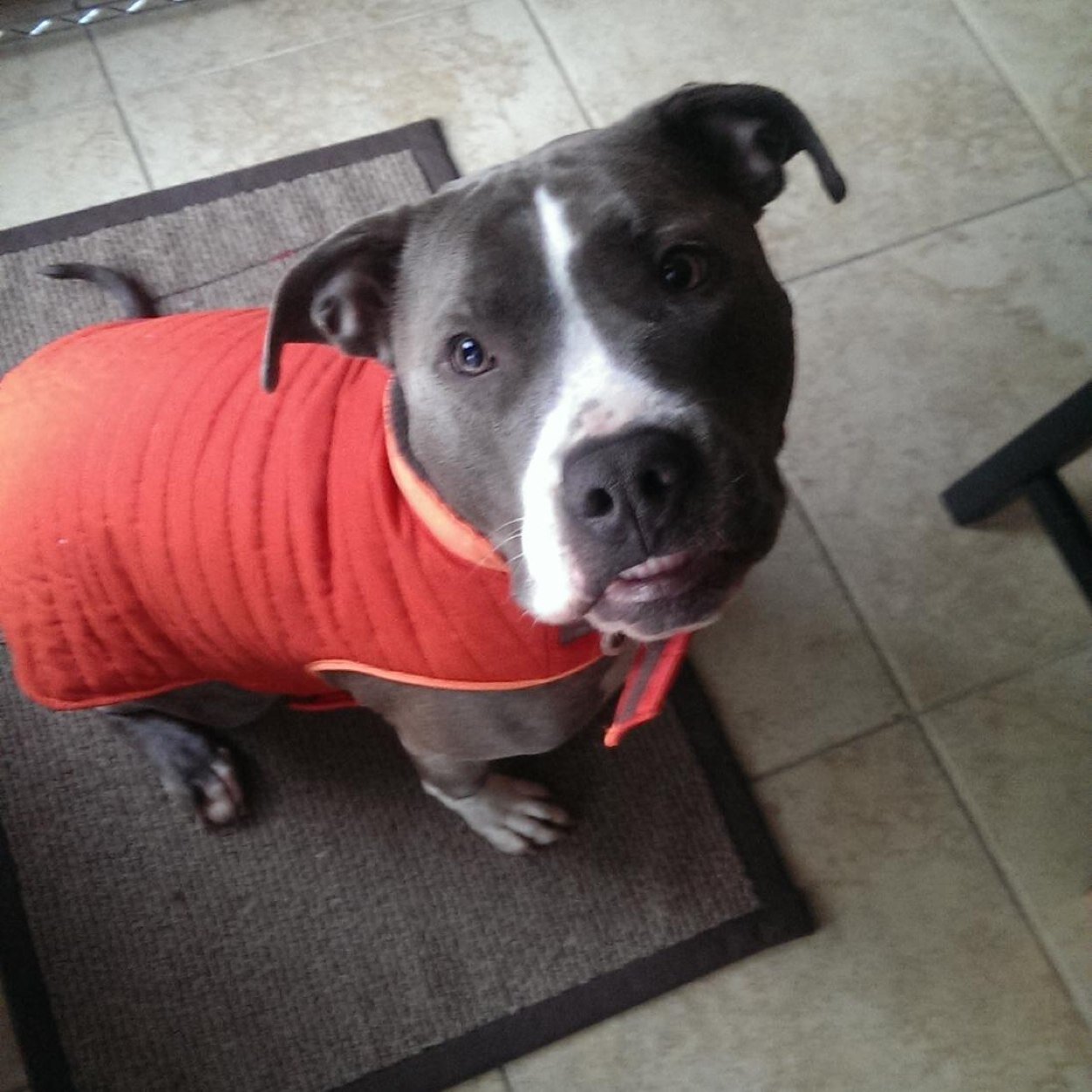 glackin72's profile picture. 