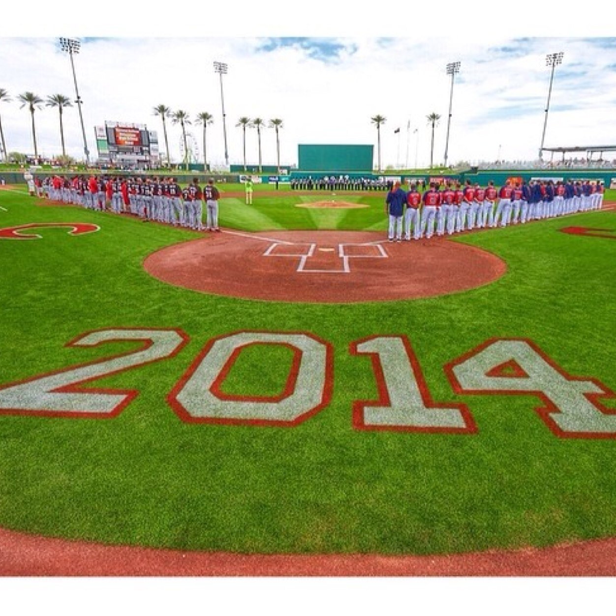 RollTribeRoll14's profile picture. 