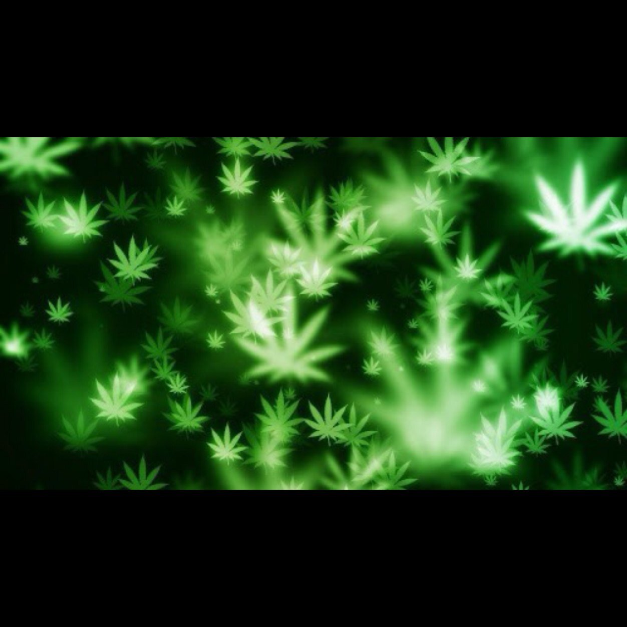 Just your typical stoner tweeting about ganja. DM is open for any relatable tweets.