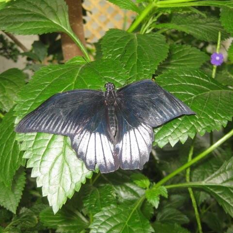 DSG7676's profile picture. 