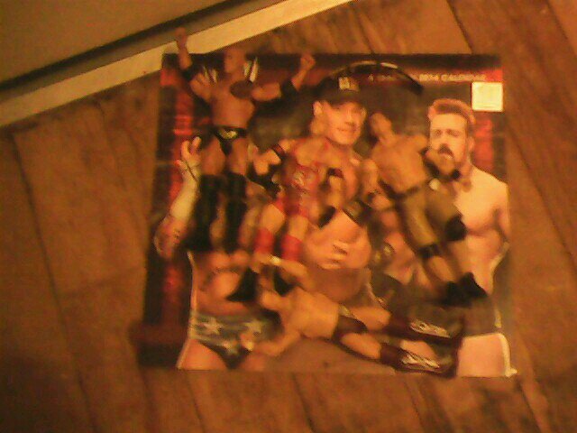 pignose6667's profile picture. 