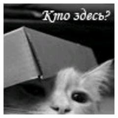 Автоугонщик, Заряжающий, Диктор, Коллекционирование анекдотов, стихов, песен
