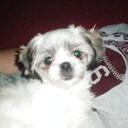 Dennis Hendricks - @Denden1957 - Twitter