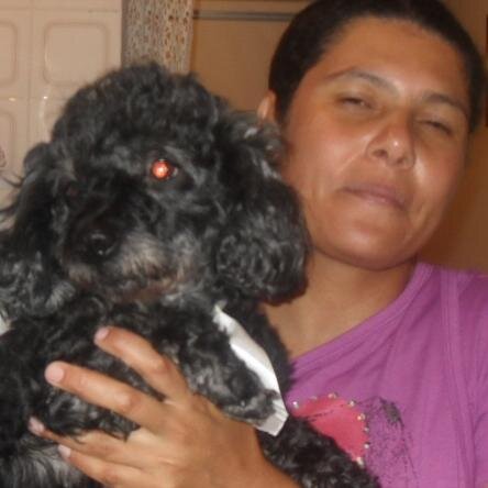 alcimaracalixto's profile picture. 