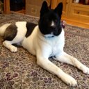 Rick barlow  - @barlow_ric - Twitter