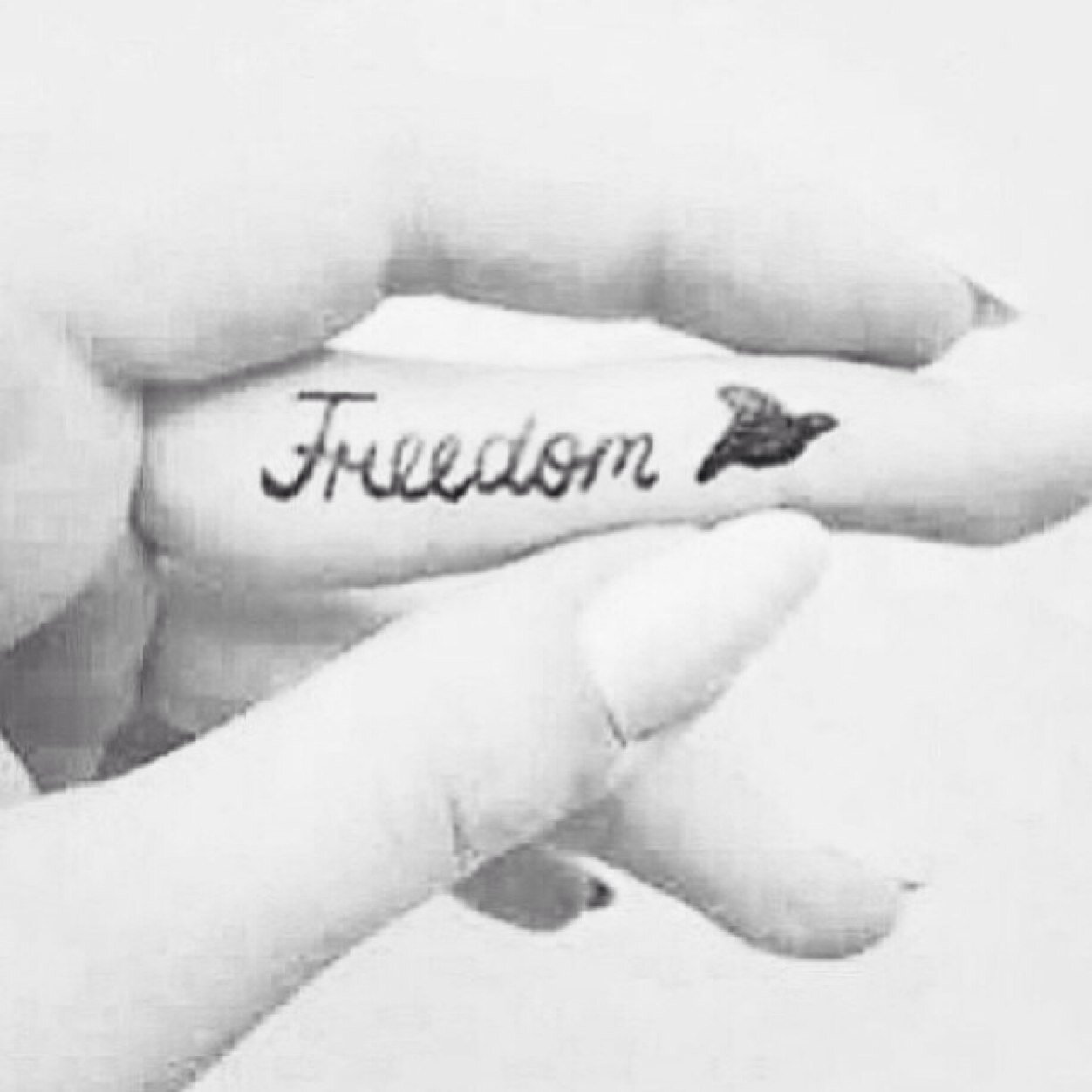K.M.A | Clean since 2-18-14 | PTSD | Self harmer | Anorexic | Bulimic | Suicidal | Help spread the word about the project! ❤️ #ffproject403